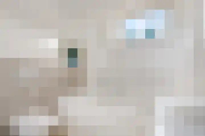 Verbindelaarsweg 123 Ede thumbnail 23