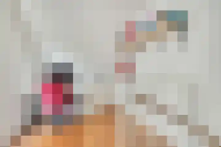 Verbindelaarsweg 123 Ede thumbnail 28