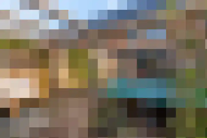 Verbindelaarsweg 123 Ede thumbnail 29