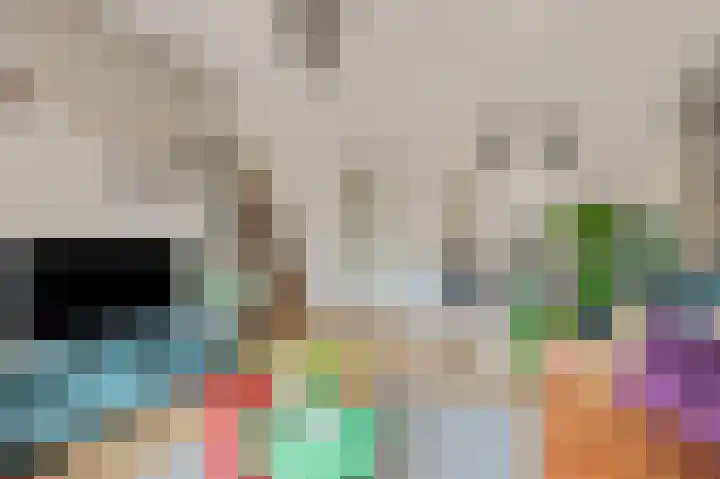 Verbindelaarsweg 123 Ede thumbnail 4