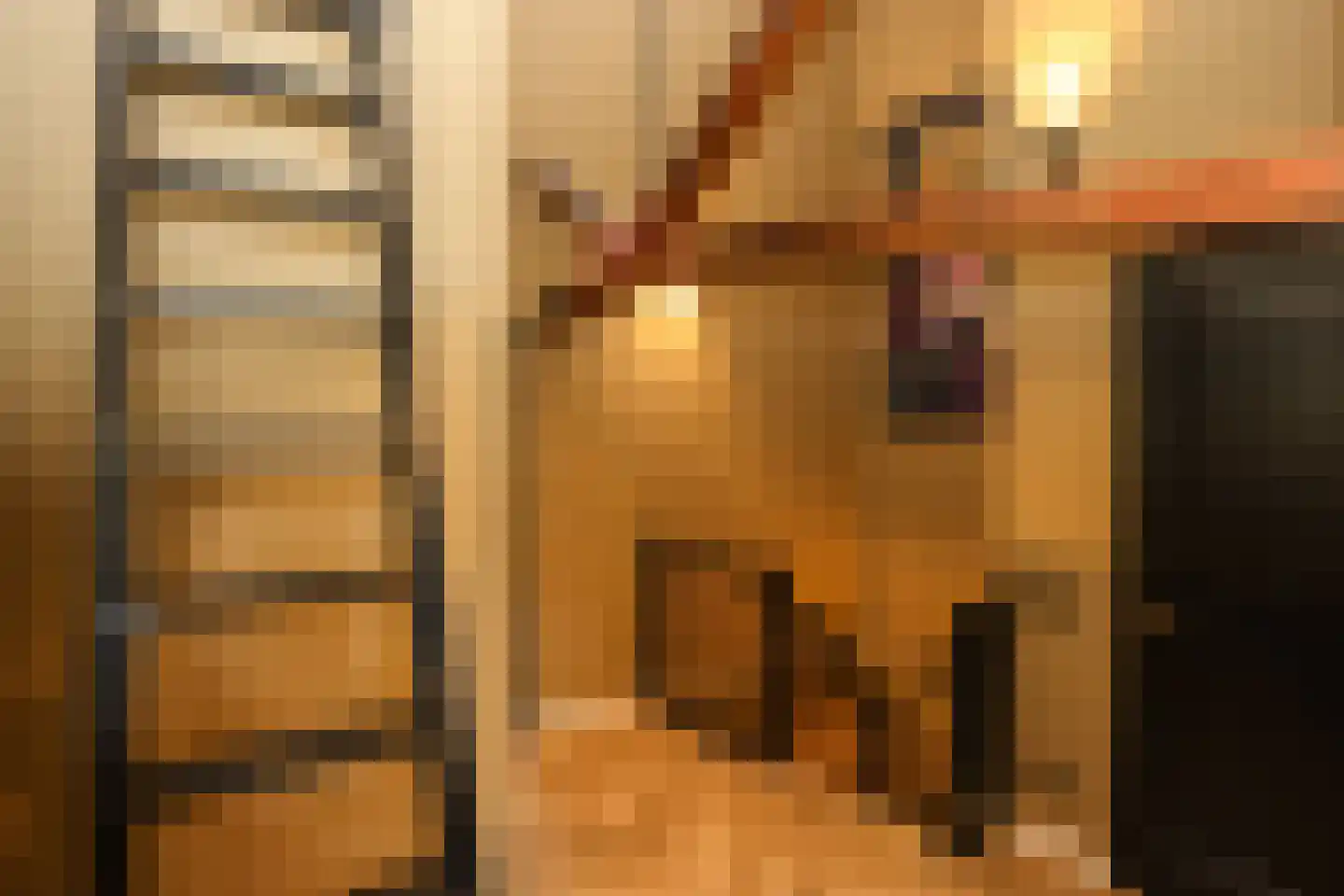 Verbindelaarsweg 34 Ede thumbnail 18