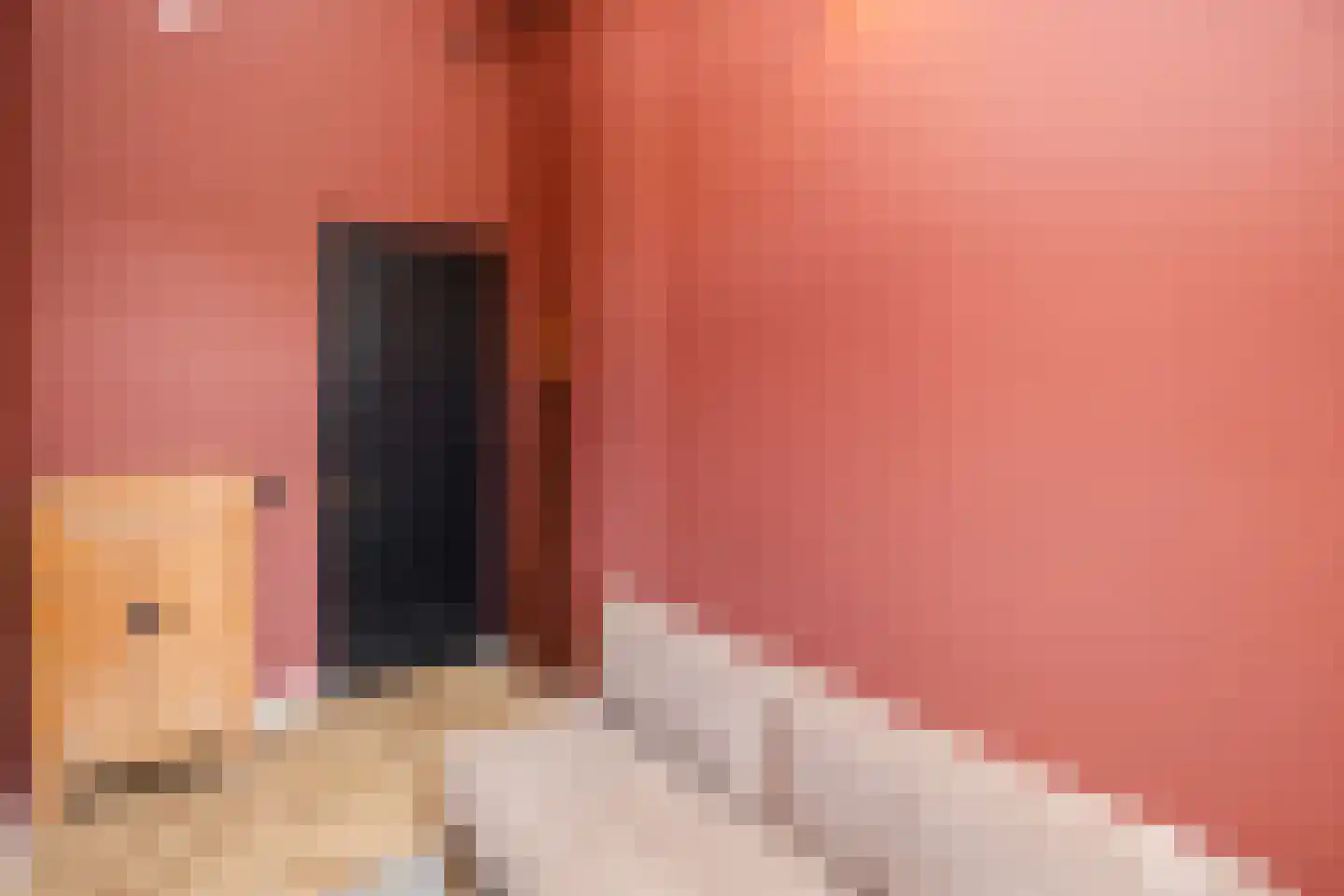 Verbindelaarsweg 34 Ede thumbnail 27