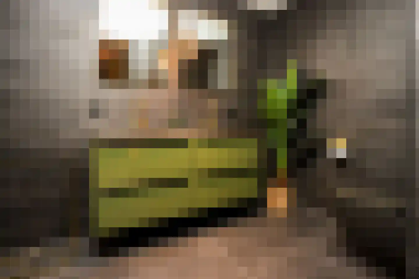 Verbindelaarsweg 34 Ede thumbnail 28
