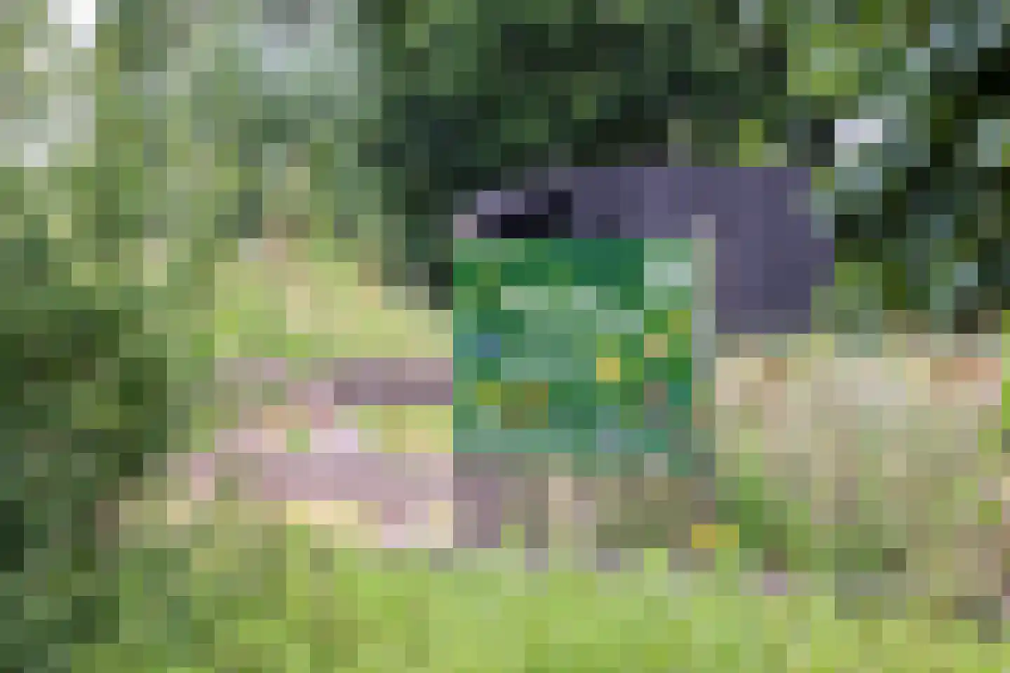 Verbindelaarsweg 34 Ede thumbnail 45