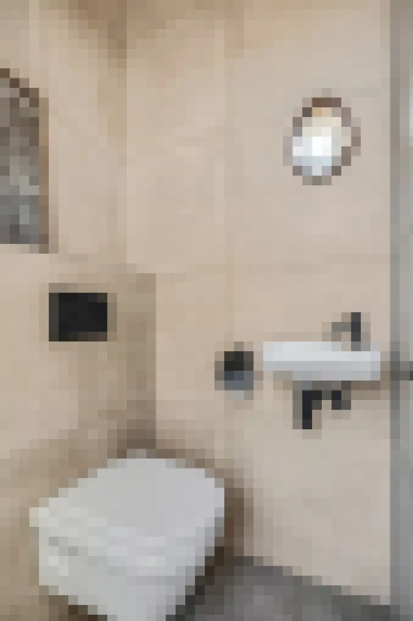 Verbindelaarsweg 44 Ede thumbnail 12