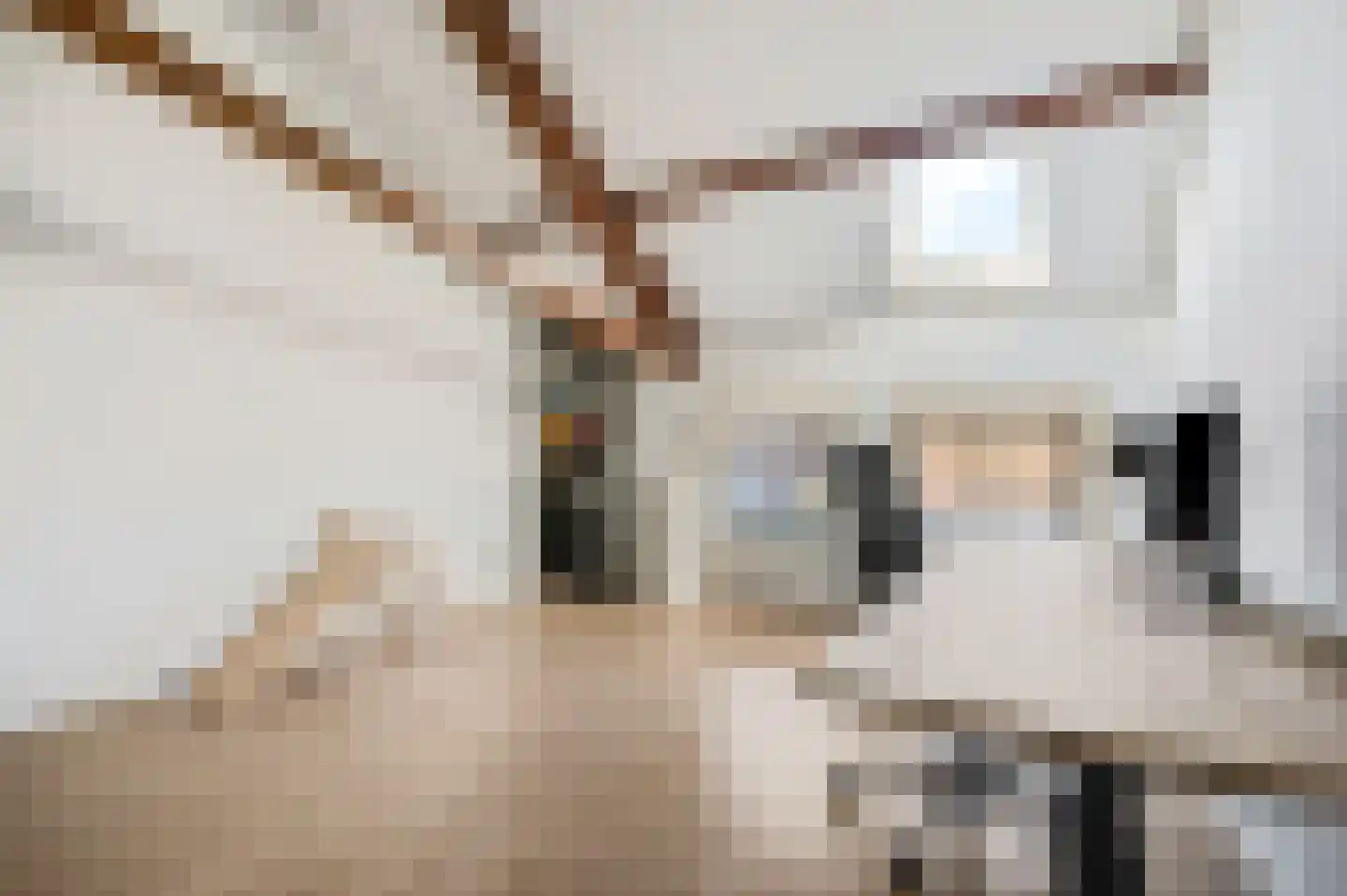 Verbindelaarsweg 44 Ede thumbnail 25