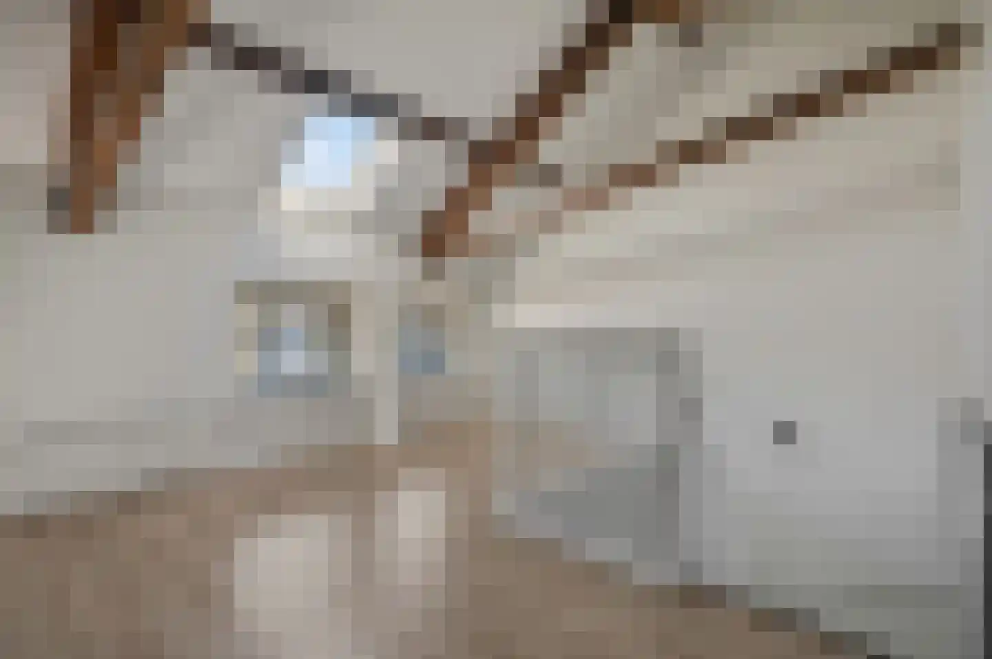 Verbindelaarsweg 44 Ede thumbnail 27