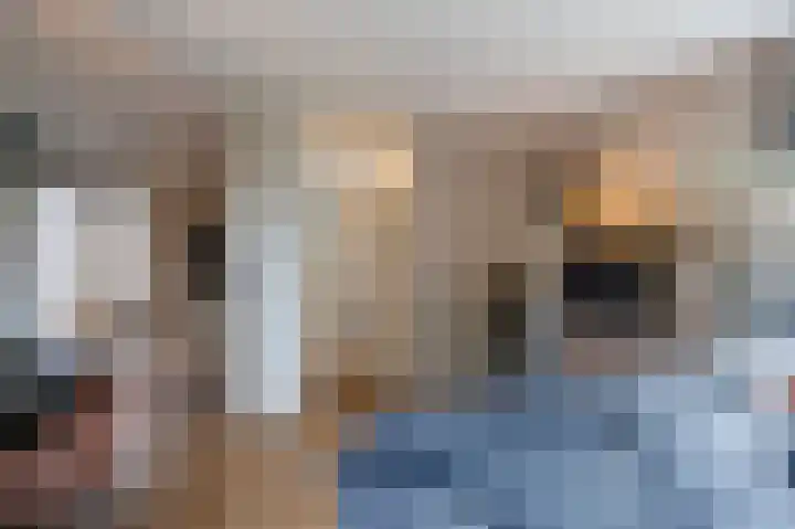 Verbindelaarsweg 56 Ede thumbnail 10