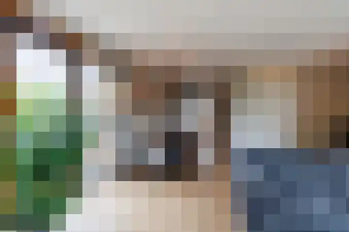 Verbindelaarsweg 56 Ede thumbnail 16