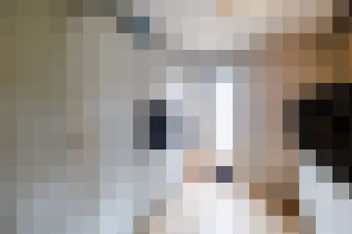 Verbindelaarsweg 56 Ede thumbnail 19