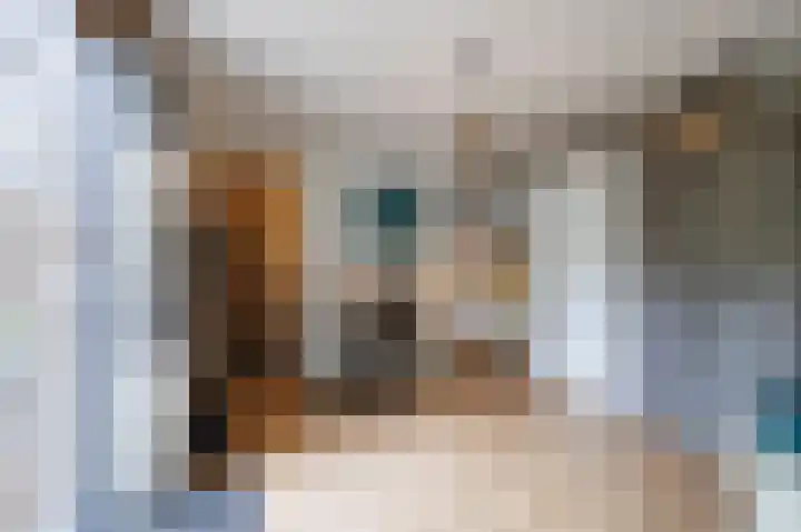 Verbindelaarsweg 56 Ede thumbnail 21