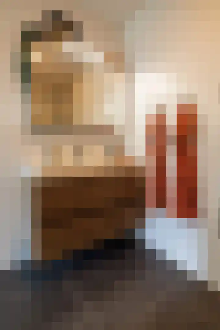 Verbindelaarsweg 56 Ede thumbnail 34