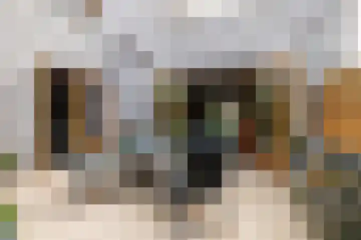 Verbindelaarsweg 56 Ede thumbnail 39