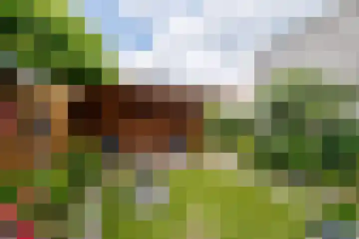 Verbindelaarsweg 56 Ede thumbnail 42