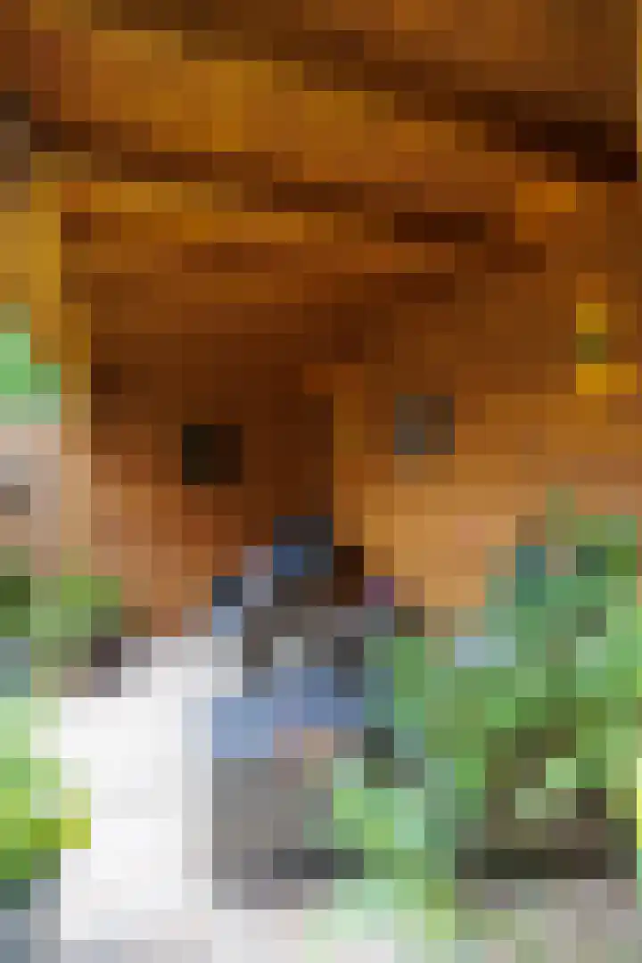 Verbindelaarsweg 56 Ede thumbnail 43