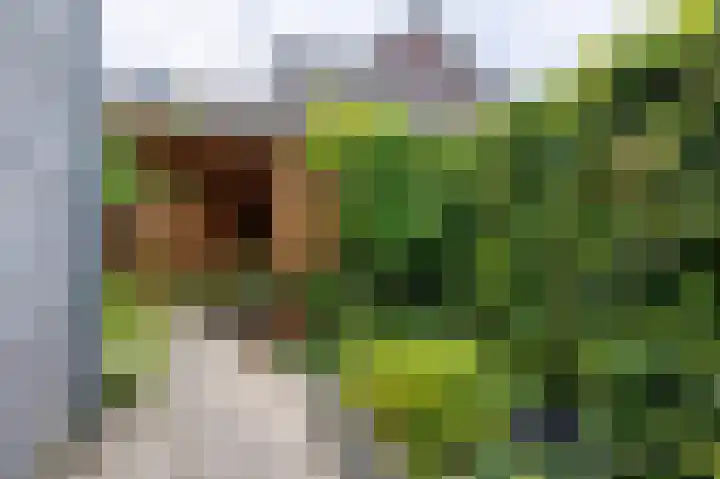 Verbindelaarsweg 56 Ede thumbnail 44