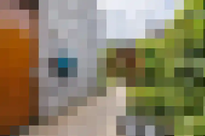 Verbindelaarsweg 56 Ede thumbnail 45