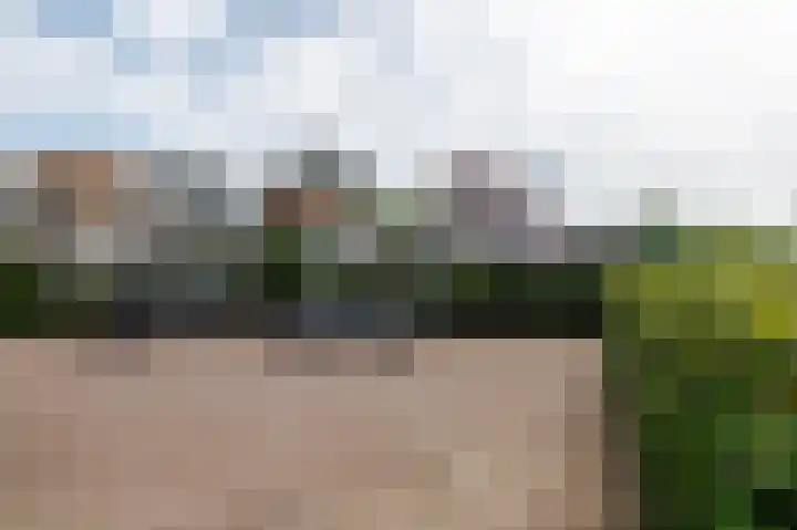 Verbindelaarsweg 56 Ede thumbnail 51