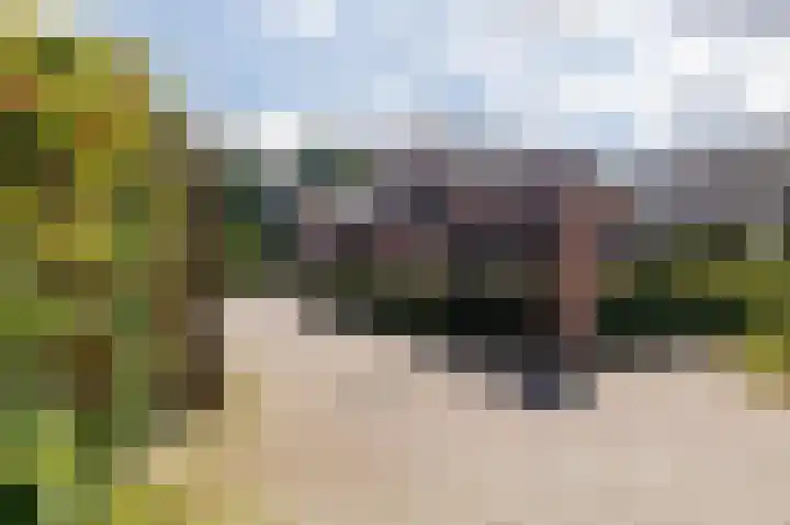Verbindelaarsweg 56 Ede thumbnail 53