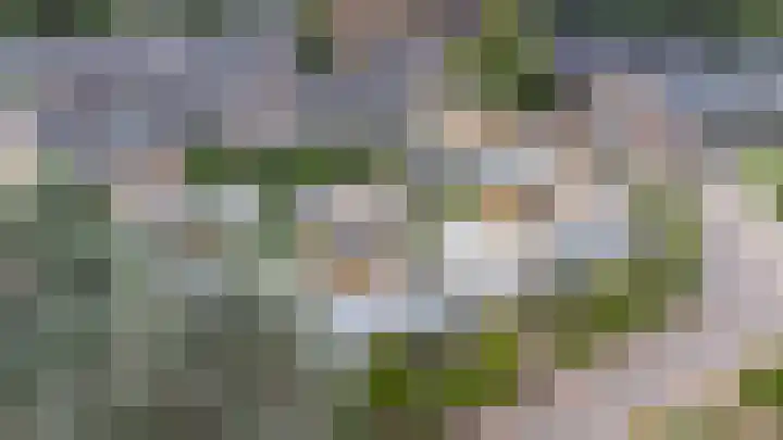 Verbindelaarsweg 56 Ede thumbnail 56
