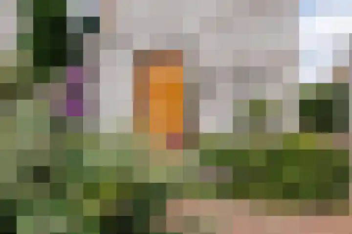 Verbindelaarsweg 56 Ede thumbnail 6