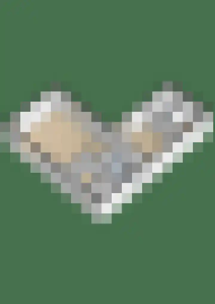 Verbindelaarsweg 56 Ede thumbnail 62