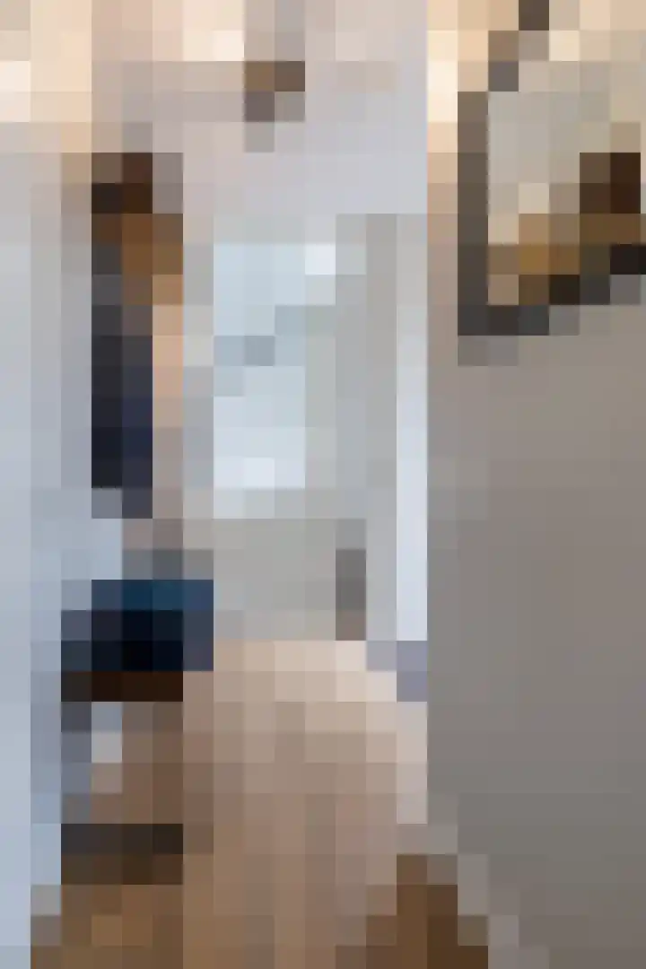 Verbindelaarsweg 56 Ede thumbnail 7
