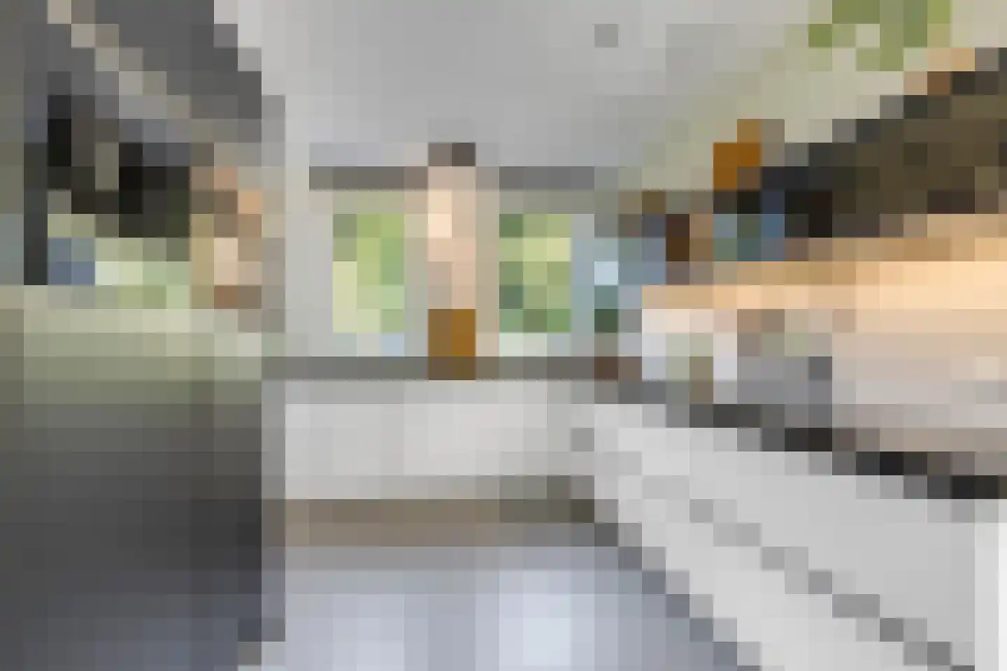 Verbindelaarsweg 95 Ede thumbnail 11
