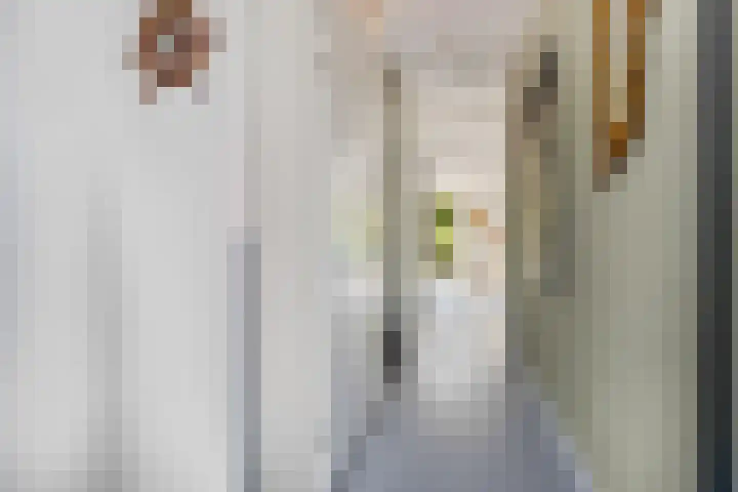 Verbindelaarsweg 95 Ede thumbnail 14