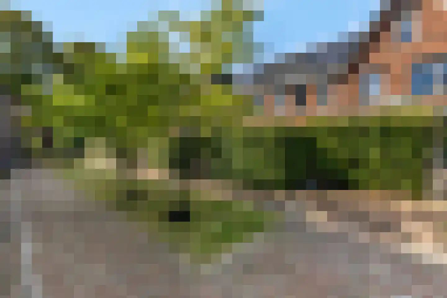 Verbindelaarsweg 95 Ede thumbnail 37