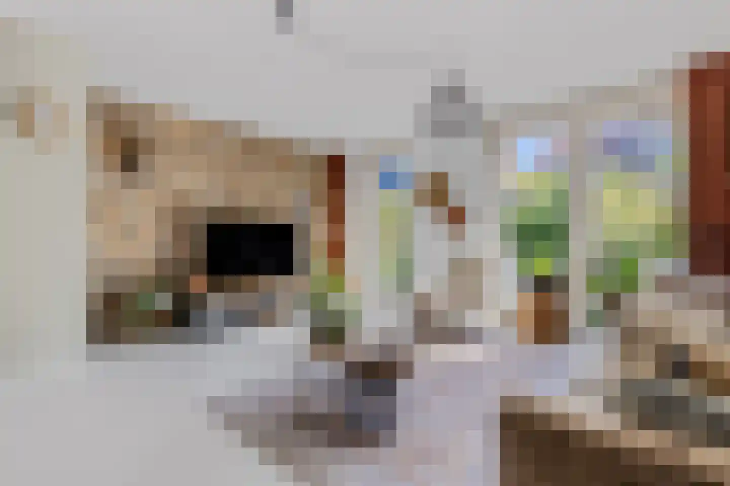 Verbindelaarsweg 95 Ede thumbnail 5