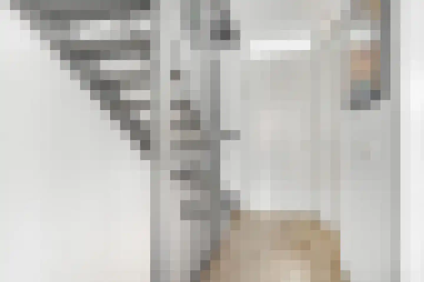Verbindelaarsweg 99 Ede thumbnail 22