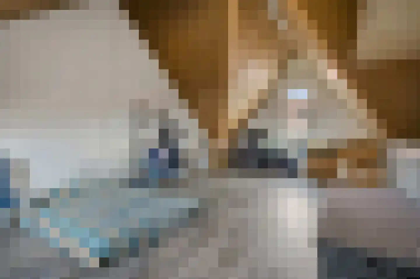 Verbindelaarsweg 99 Ede thumbnail 24