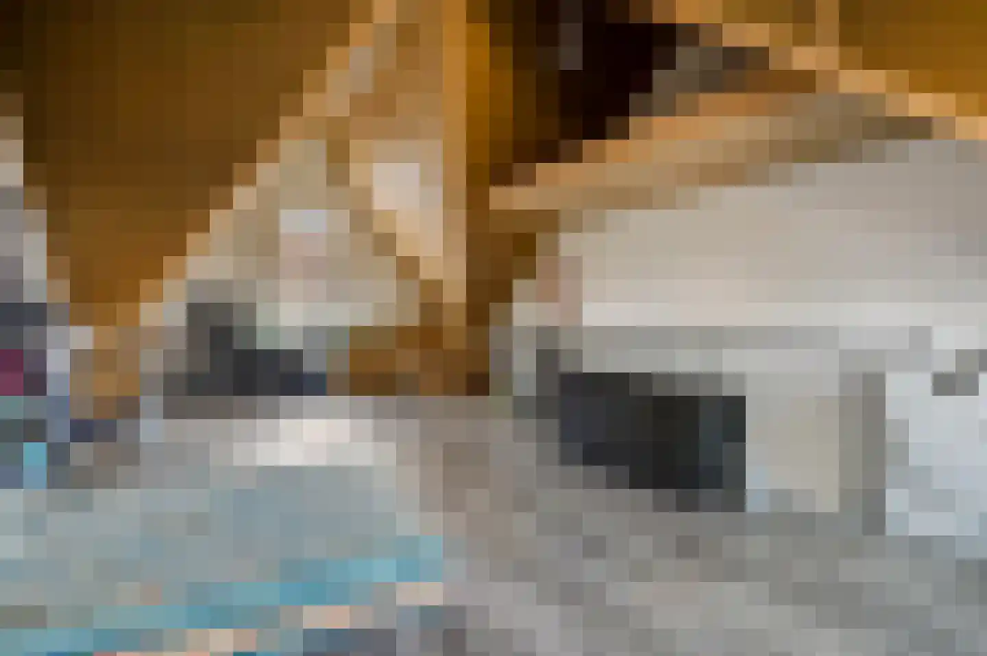 Verbindelaarsweg 99 Ede thumbnail 25