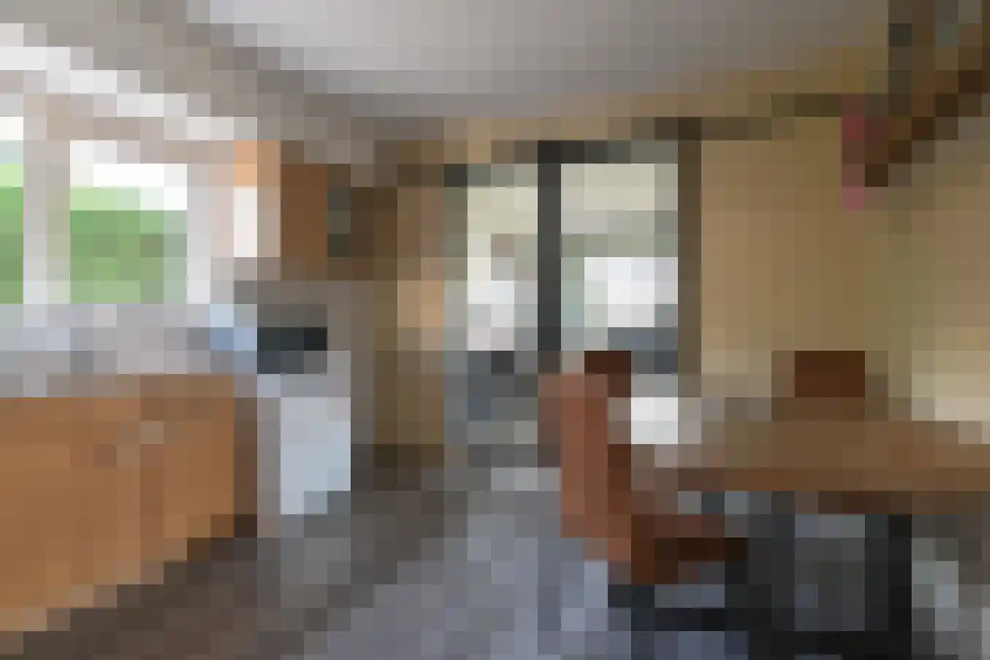 Verbindingskanaal NZ 102 Roswinkel thumbnail 18