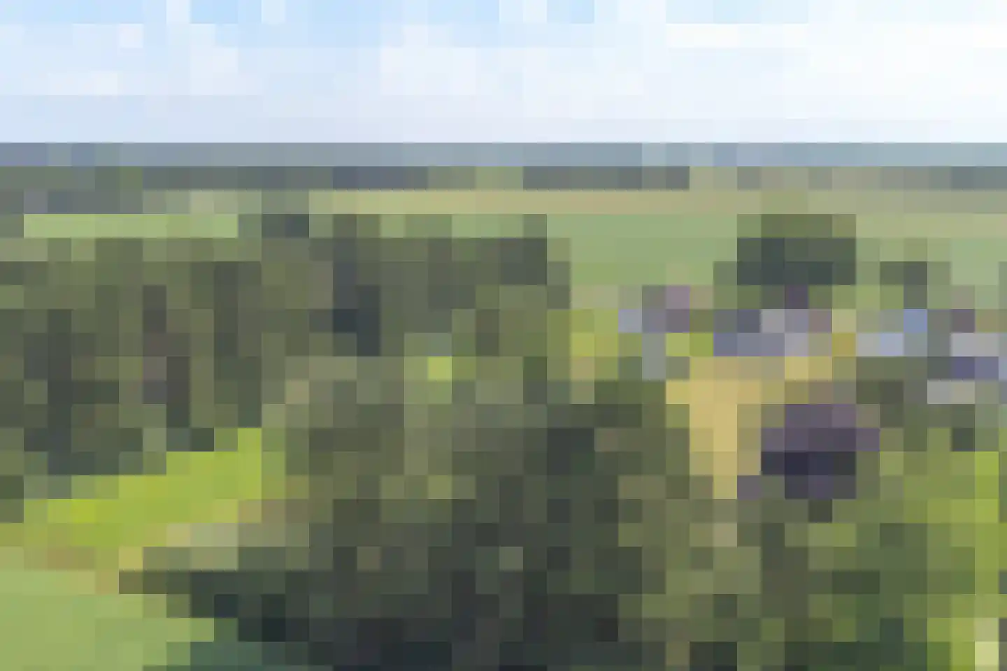Verbindingskanaal NZ 102 Roswinkel thumbnail 4