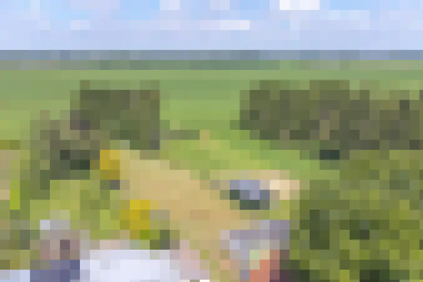 Verbindingskanaal NZ 102 Roswinkel thumbnail 53