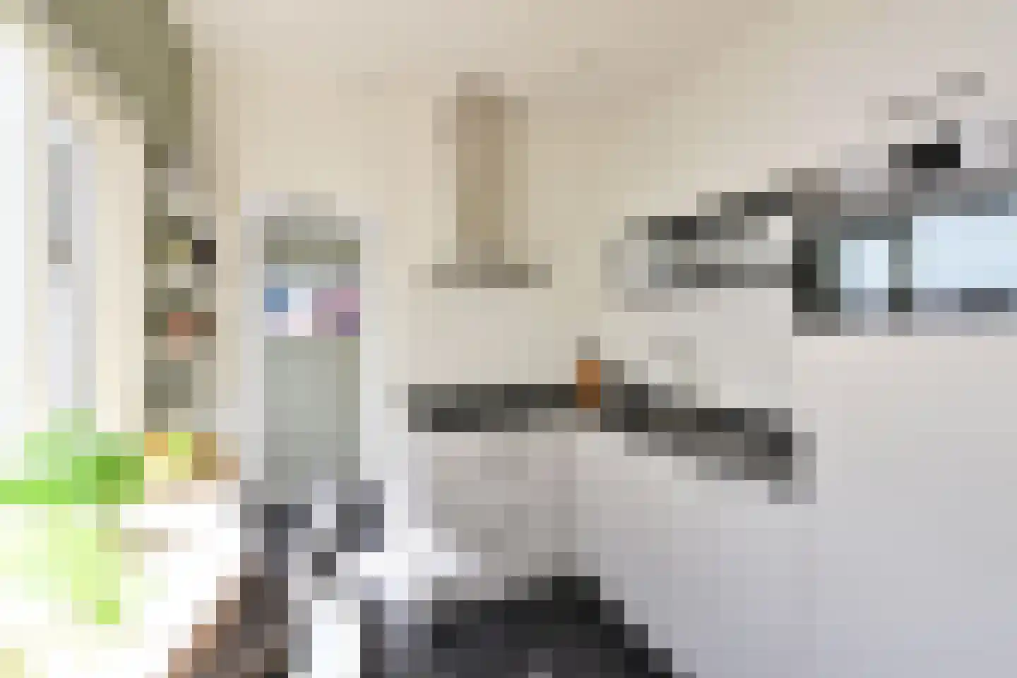 Verbindingslaan 17 Bussum thumbnail 8
