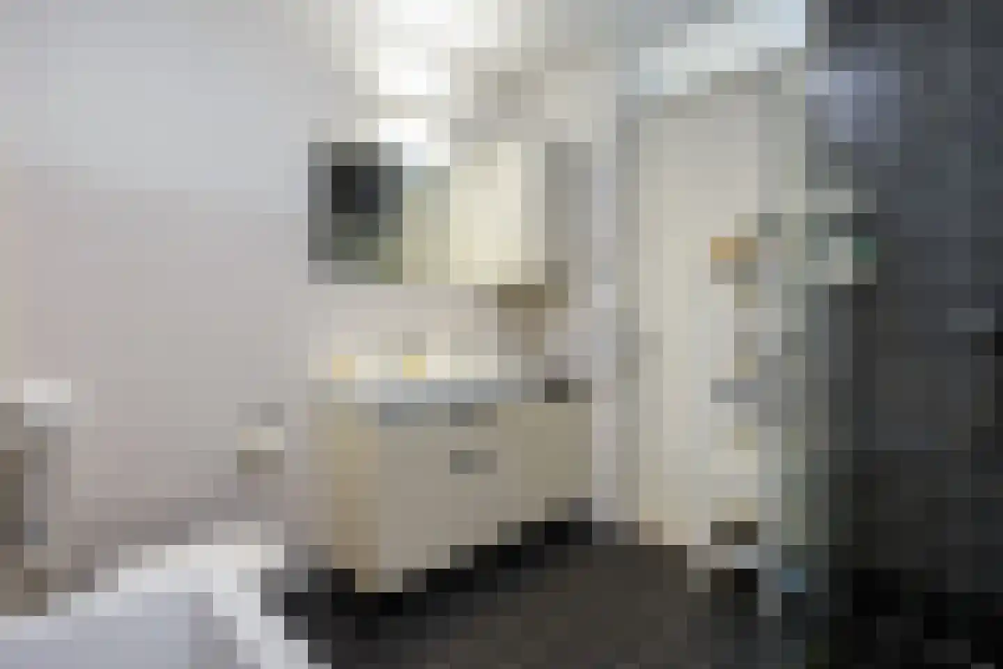 Verbindingslaan 9 A Bussum thumbnail 23