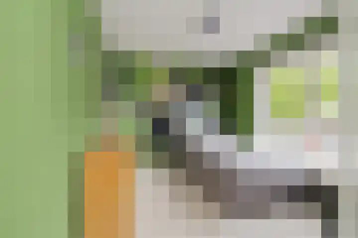 Verbindingsstraat 18 Velsen-Noord thumbnail 36