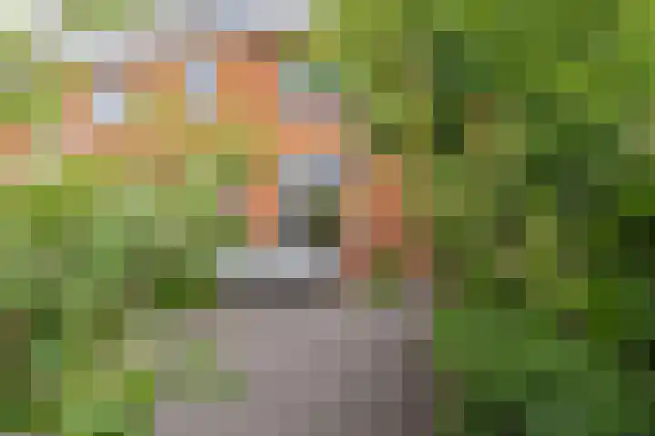 Verbindingsstraat 18 Velsen-Noord thumbnail 51