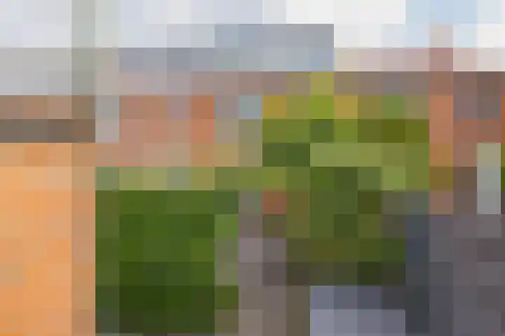 Verbindingsstraat 18 Velsen-Noord thumbnail 52