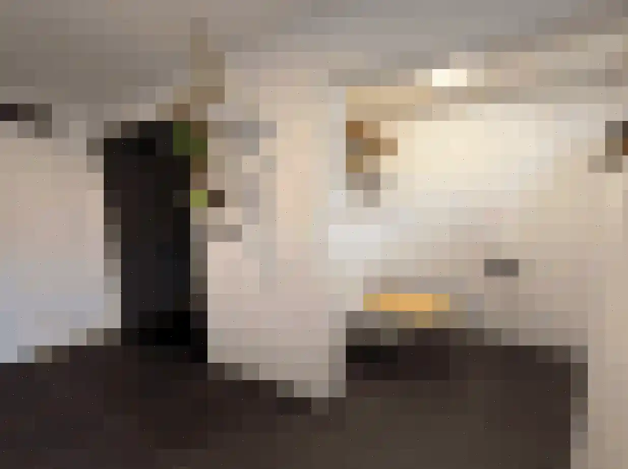 Verbindingsstraat 2 Philippine thumbnail 11