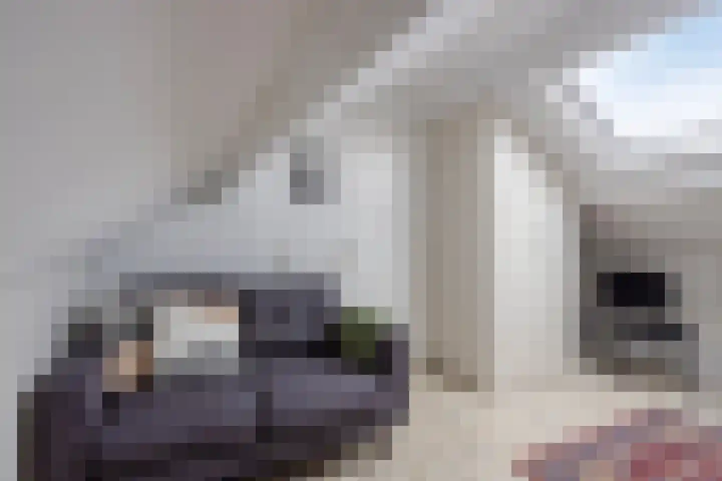 Verbindingsstraat 8 Velsen-Noord thumbnail 28