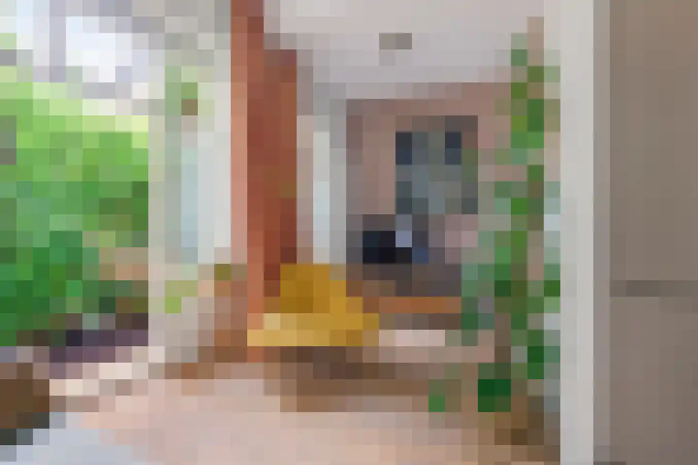 Verbindingstraat 5 H Amsterdam thumbnail 12