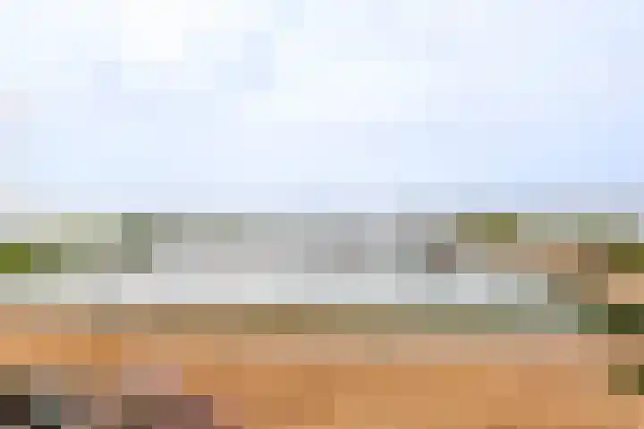 Verbindingsweg 116 Westerland thumbnail 19