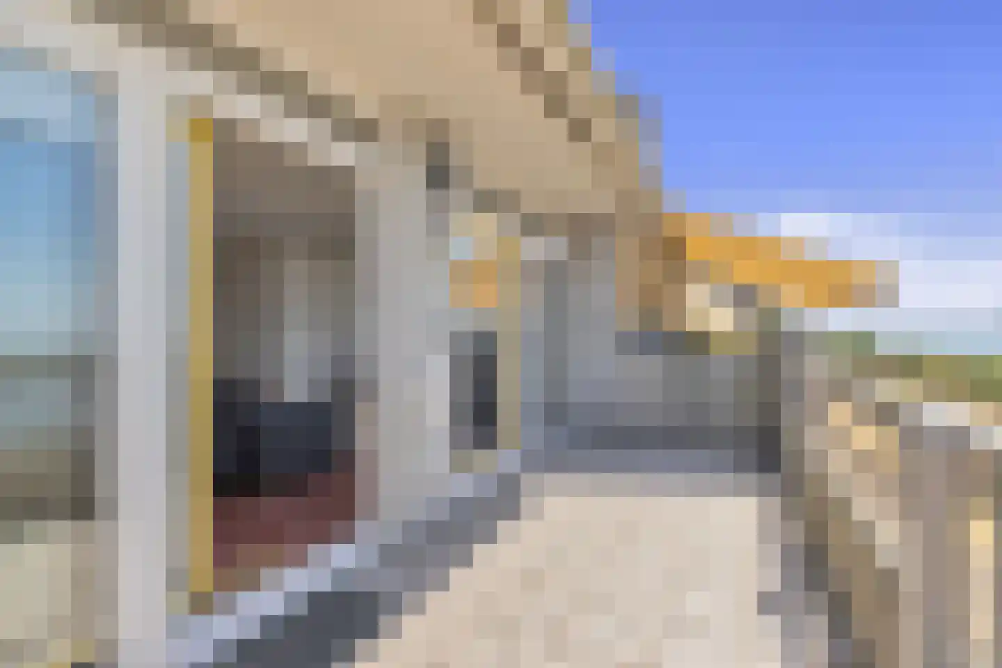 Verbindingsweg 117 Westerland thumbnail 28