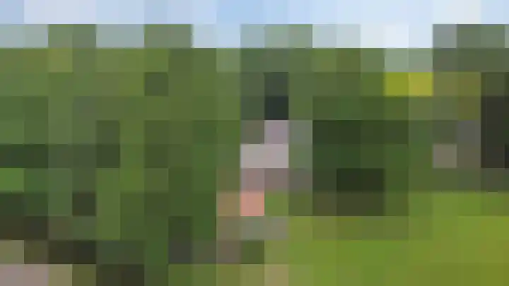 Verbindingsweg 13 Veelerveen