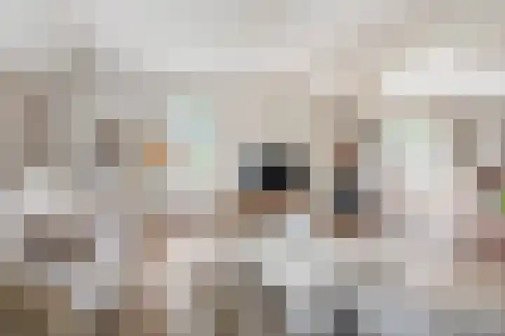 Verbindingsweg 13 Veelerveen thumbnail 11