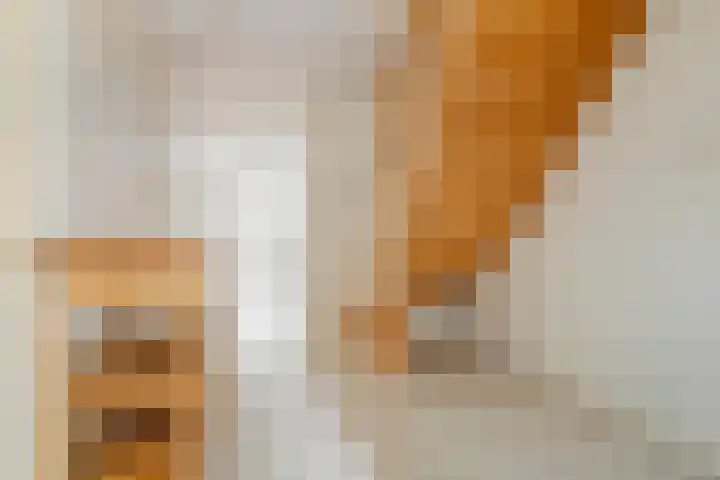 Verbindingsweg 13 Veelerveen thumbnail 27